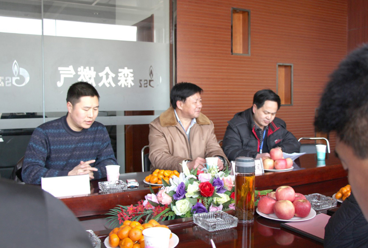 林口县政府与呼和浩特志睿商务信息服务有限公司燃气项目洽谈.png